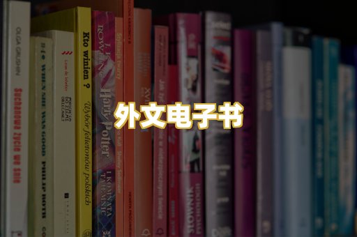 外文电子书